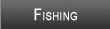 Lake Minnetonka Fishing
